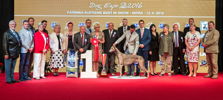 12.6.2016. SUPER BIS Nitra Cacib, Slovensko 12.6.2016. SUPER BIS Nitra Cacib, Slovensko
