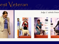 w-8_BEST_VETERAN