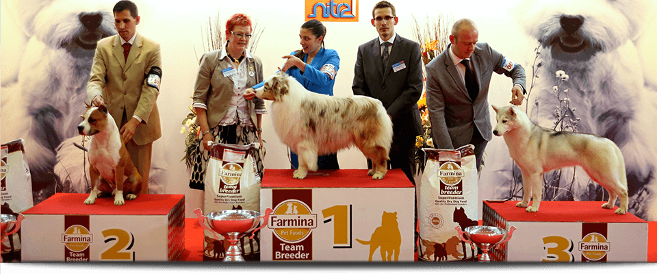 Dog Expo Nitra 2016