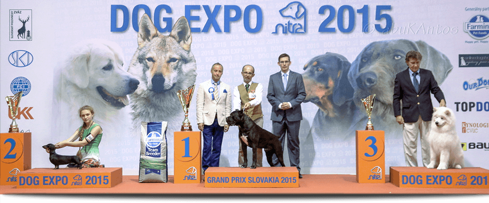 Dog Expo Nitra 2015