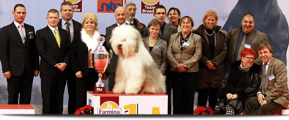 Dog Expo Nitra 2016