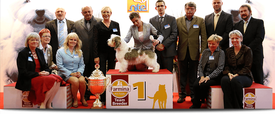 Dog Expo Nitra 2016