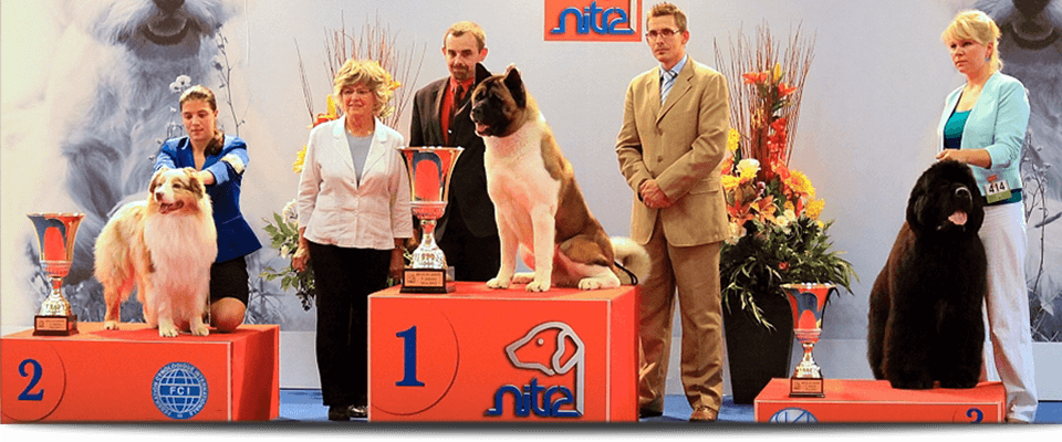 Dog Expo Nitra 2022