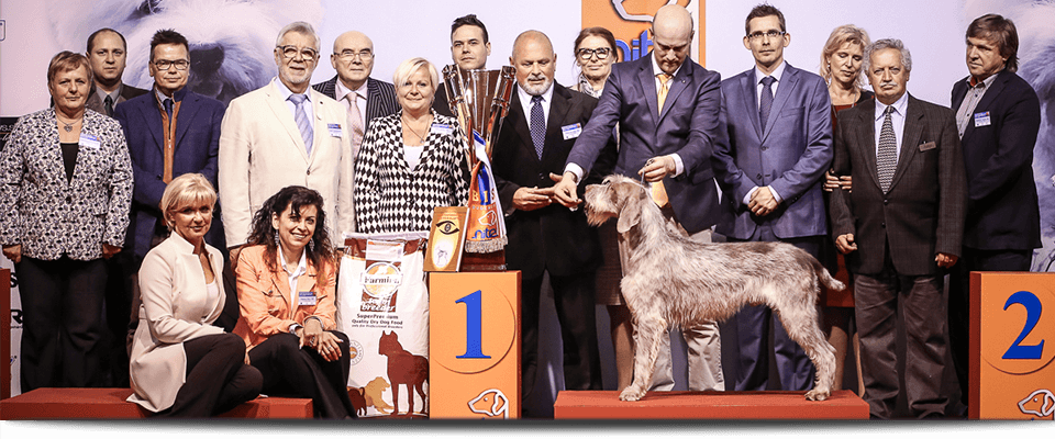 Dog Expo Nitra 2016