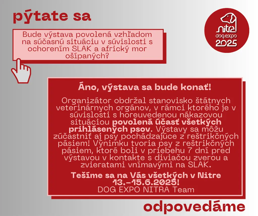 13.6.2024 KLUBOVÁ VÝSTAVA RETRIEVEROV